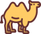 camel camel